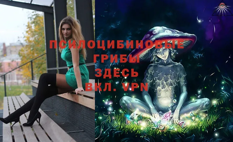 Галлюциногенные грибы Magic Shrooms  цена   Калининск 